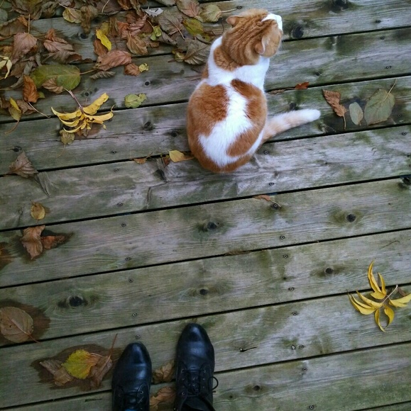 Meet your Posher, Sophie - Picture 1 of 1